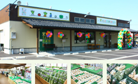 そよかぜ農産物直売所 藤の木店